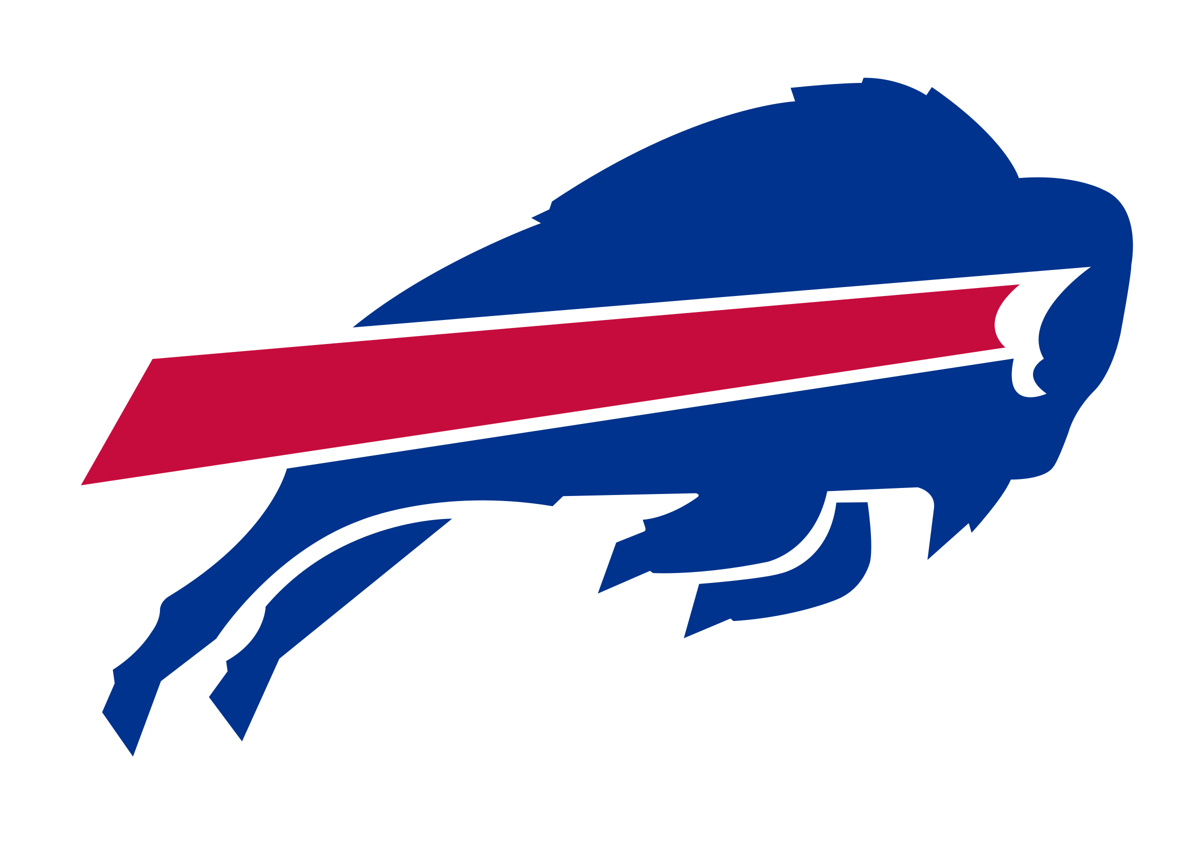 Bills